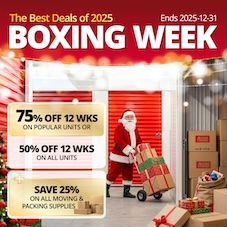 Access Storage Promotion