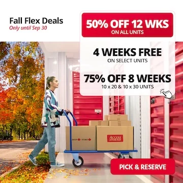 Access Storage Promotion