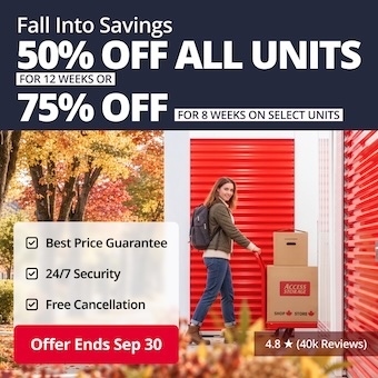 Access Storage Promotion