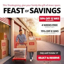 Access Storage Promotion