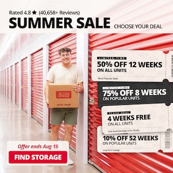 Access Storage Promotion